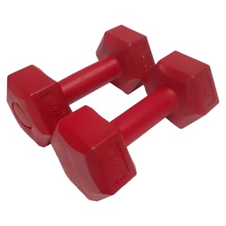 Delta Köşeli Plastik Dambıl Ağırlık Seti - Çiftli